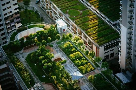 Maa Sumitra Green City